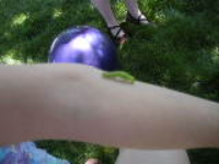 thumb